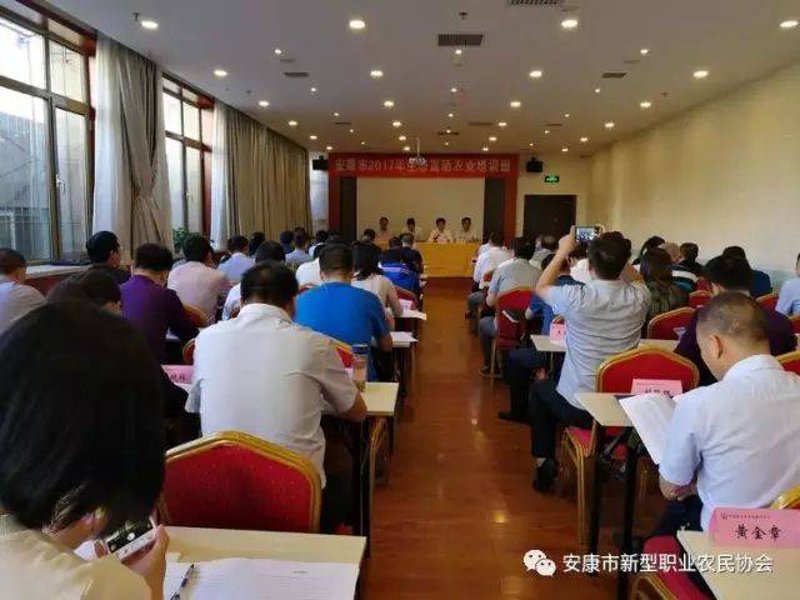 安康家政公司的服务是否值得信赖?让我们从多个维度进行对比分析。