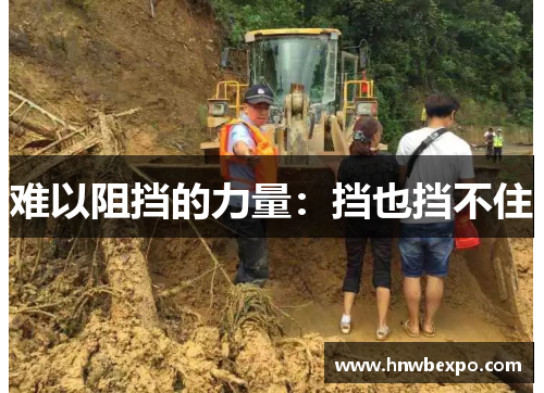 难以阻挡的力量：挡也挡不住