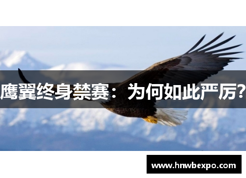 鹰翼终身禁赛：为何如此严厉？